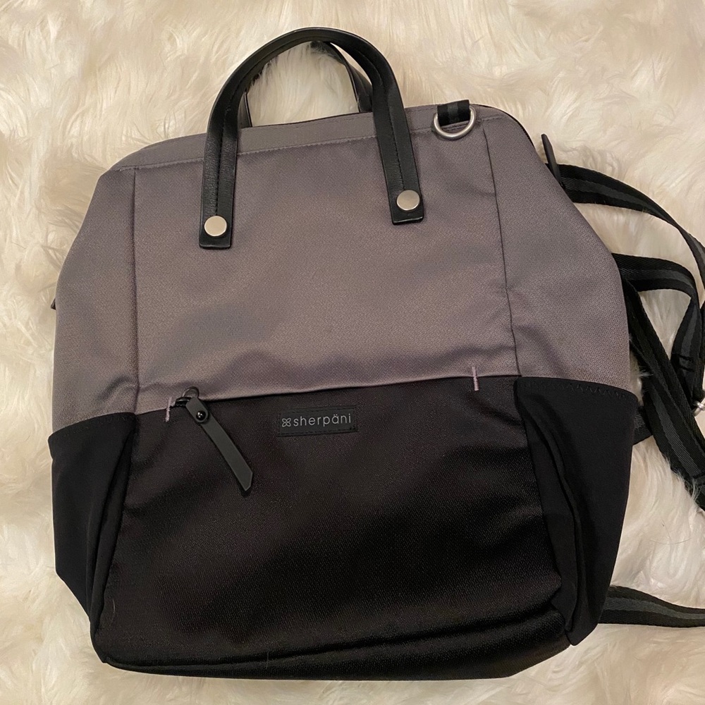 Sherpani dispatch convertible back pack